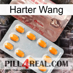 Hard Wang new13